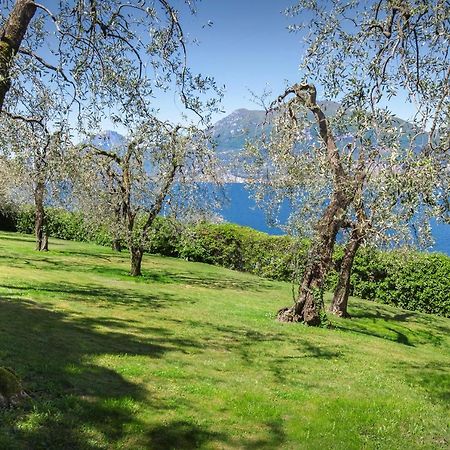 Villa Dismero-Un Oasi Di Lusso E Privacy Brenzone sul Garda Exteriér fotografie