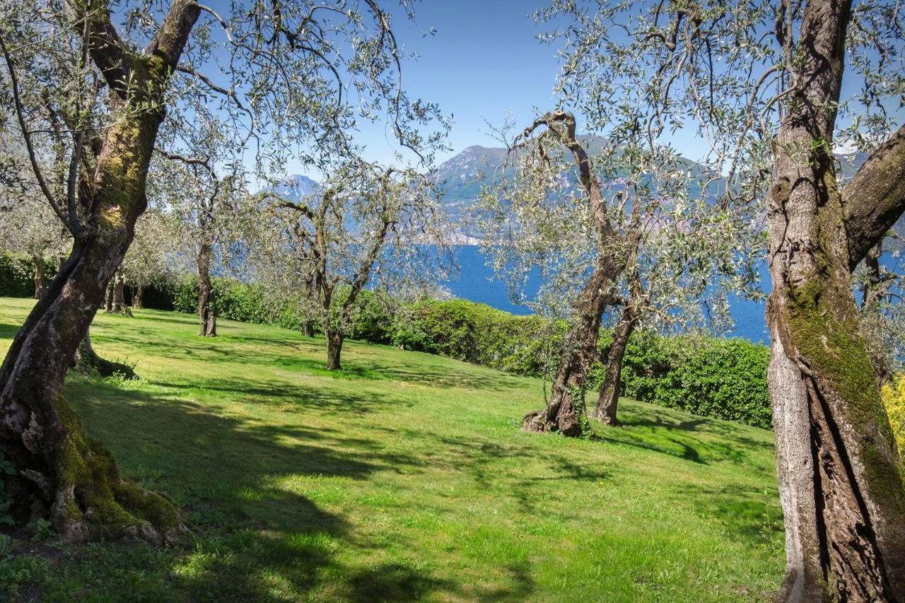 Villa Dismero-Un Oasi Di Lusso E Privacy Brenzone sul Garda Exteriér fotografie
